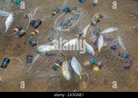 Philippines, Palawan, Malampaya Sound Protected Landscape and Seascape, the catch of the day Stock Photo