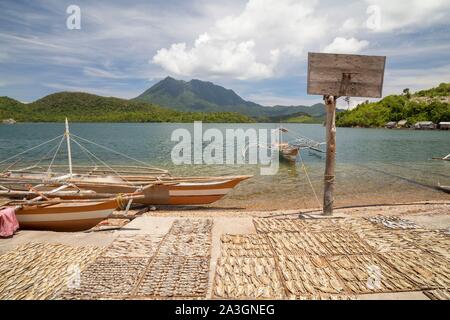 Philippines, Palawan, Malampaya Sound Protected Landscape and Seascape, fishes drying in the sun Stock Photo