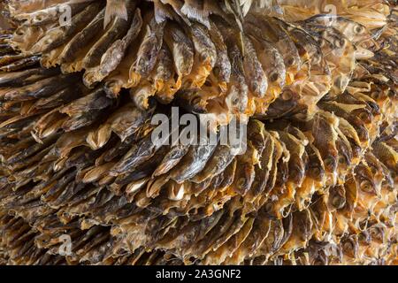 Philippines, Palawan, Malampaya Sound Protected Landscape and Seascape, dried fishes Stock Photo