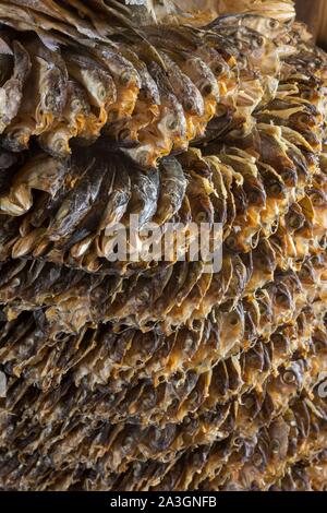 Philippines, Palawan, Malampaya Sound Protected Landscape and Seascape, dried fishes Stock Photo