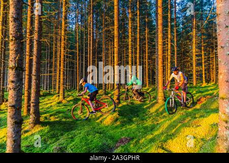 Sweden, County of Vastra Gotaland, Hokerum, Ulricehamn hamlet, Rochat family report, family relaxation on Sunday to one of the lakes around the house and back through the forest Stock Photo