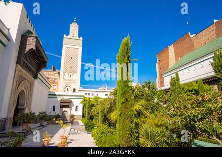 France, Paris, the Great Mosque of Paris Stock Photo