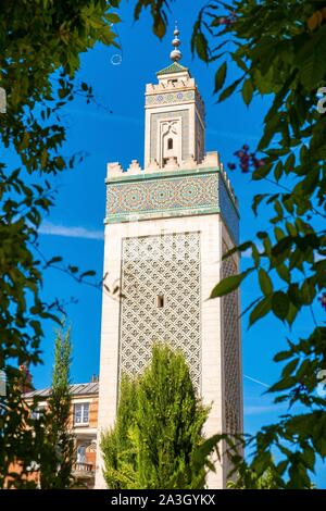 France, Paris, the Great Mosque of Paris Stock Photo