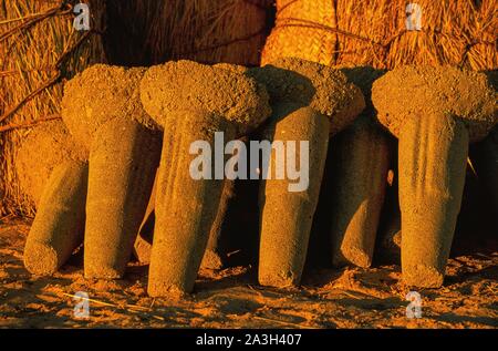 Niger, Tenere, Caravans of salt in the mines of Bilma and Fachi in the Tenere Stock Photo