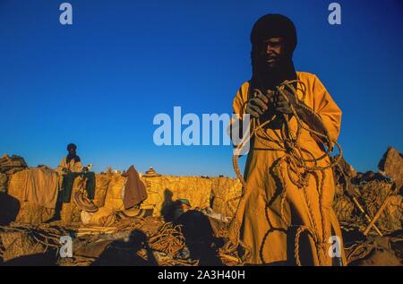 Niger, Tenere, Caravans of salt in the mines of Bilma and Fachi in the Tenere Stock Photo