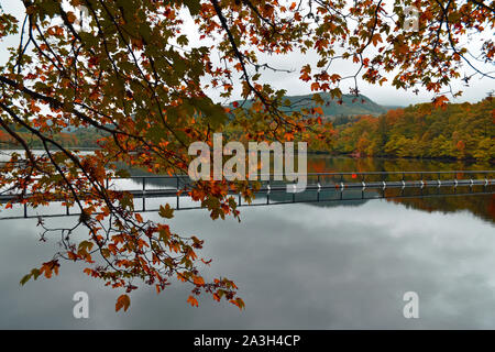 Beautiful Autumn/Fall landscape with perfect reflections in lake/loch. Taken at Loch Faskally, Scottish Highlands. Stock Photo