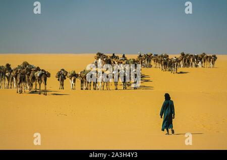 Niger, A?r and T?n?r?, Salt caravans in the desert of Tenere Stock Photo