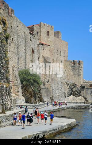 France, Pyrenees Orientales, Collioure, Chateau Royal of the 7th century, walking along a seaside path along a wall Stock Photo