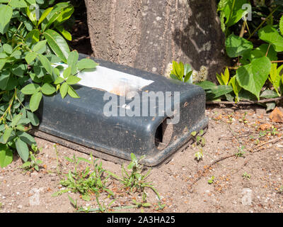 Outdoor rodent baiting station on the tree Stock Photo