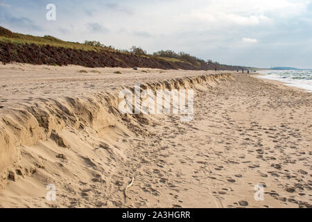 Sandy beach erosion, coastal erosion on the Baltic coast in Lithuania. Loss or displacement of land. Climate change. Global warming Stock Photo