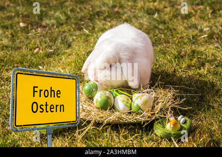 Germany "Frohe Ostern" Easter Bunny Stock Photo