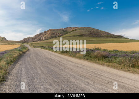 Gravel road leading to ancient mountains in wheat fields, shot in Romania countryside Stock Photo