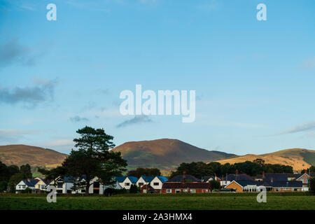 Tree and houses in Ruthin, North Wales, with Moel Eithinen in the background Stock Photo