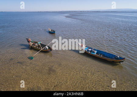 shellfish working from aerial view Stock Photo