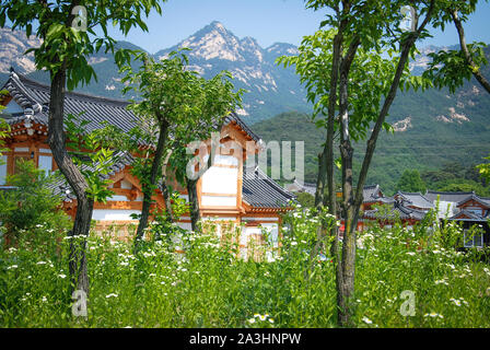 Traditional korean decor roof of village house In Palace, Seoul, South  Korea Stock Photo - Alamy