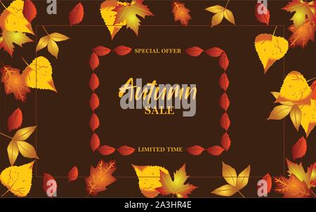 Vector illustration of autumn sale with maple leafs and other autumn leafs for banner, ads and prints. Stock Vector