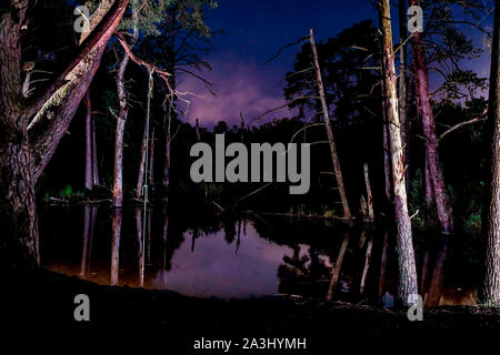 Colour nightscape photograph taken in woodland under a purple night sky reflected in still pond. Stock Photo