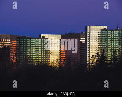 Different tinted windows on buildings illuminated by sunset and a treeline in foreground. Stock Photo