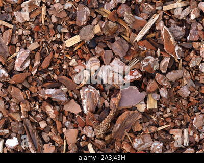 Wood chips lying on the ground, would make a great background Stock Photo