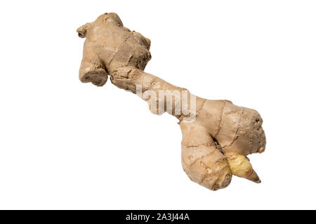 ginger root isolated on white background photo. Beautiful picture, background, wallpaper Stock Photo