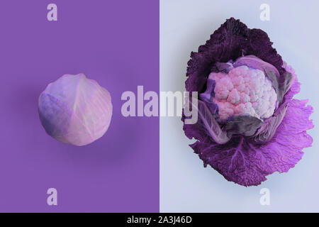 Colored white cabbage and cauliflower isolated on white and purple background.Food concept. Cooking concepts Stock Photo