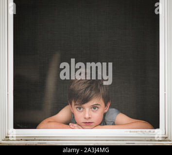 Young boy looking out through the screen of an open window. Stock Photo