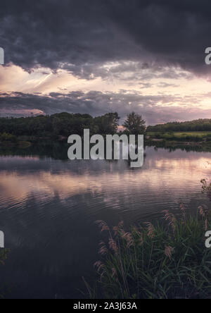Dramatic Sky Sunset over the Lake with Plants in Foreground Stock Photo
