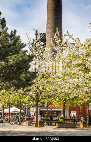 Landscape park Duisburg, north, former ironworks, in Duisburg Meidrich, spring, blossoming bird cherry trees on the Cowperplatz, beer garden, Germany Stock Photo