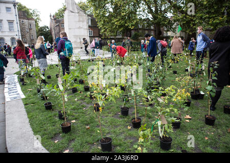 London, UK. 08th Oct, 2019. Various seedlings seen during the environmental protest by Extinction Rebellion activist group.Extinction Rebellion is an international movement that uses non-violent civil disobedience in an attempt to halt mass extinction and minimise the risk of social collapse. The group has blocked a number of key junctions in central London. Credit: SOPA Images Limited/Alamy Live News Stock Photo