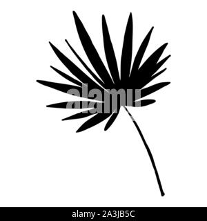 Palm tree foliage silhouette vector illustration. Coconut leaf black symbol. Tropical jungle, rainforest flora. Exotic plant leafage isolated on white background. Botany poster design element Stock Vector