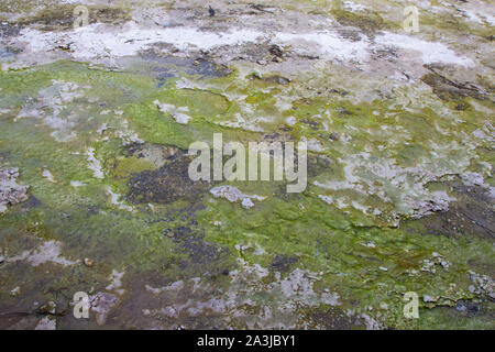 view of geo thermal park Waiotapu, New Zealand Stock Photo