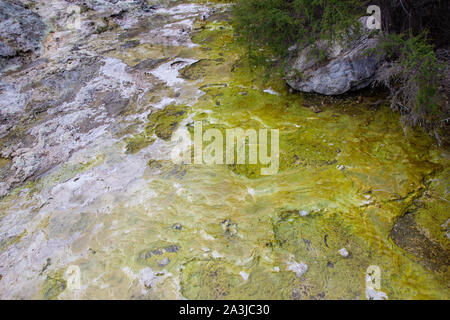 view of geo thermal park Waiotapu, New Zealand Stock Photo