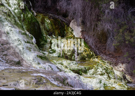 view of geo thermal park Waiotapu, New Zealand Stock Photo