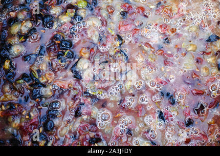 Fermentation of the pulp from berries for wine. Technology of wine production. The folk tradition of making wine. Wine processing. Stock Photo