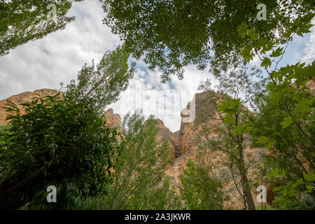 Canyon scene from below Stock Photo