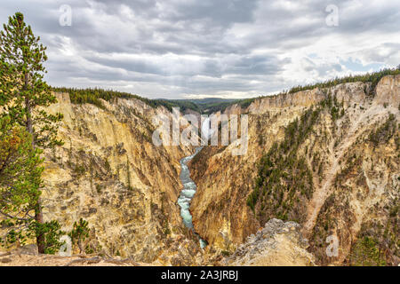 Lower Falls and Grand Canyon of the Yellowstone from Artist Point. The canyon is 20 miles long, over 1,000 feet deep and up to 4,000 feet wide. Stock Photo