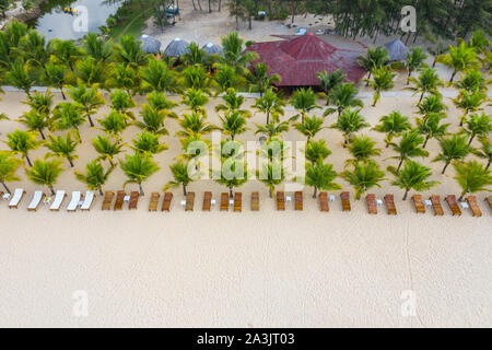 Aerial view of beautiful palm tree plantation on tropical beach Stock Photo