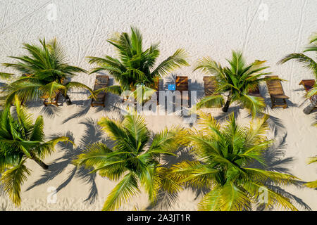 Aerial view of palm trees on beach sand in summer  Stock Photo