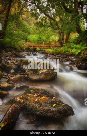 Autumn leaves on the river Melin Stock Photo