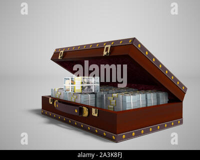 Brown open suitcase with tree with bundles of money right view 3d render on gray background with shadow Stock Photo