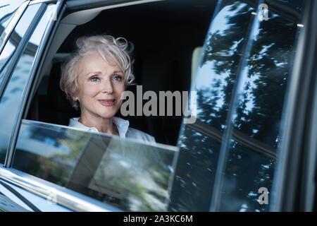 Female entrepreneur travelling to office in a luxurious car sitting on backseat. Senior businesswoman in car. Stock Photo