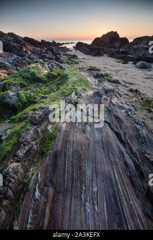 Rocks encrusted with seaweed and lichen on the beach at Kinnagoe Bay at sunrise, Inishowen Peninsula, Co Donegal, Ireland Stock Photo