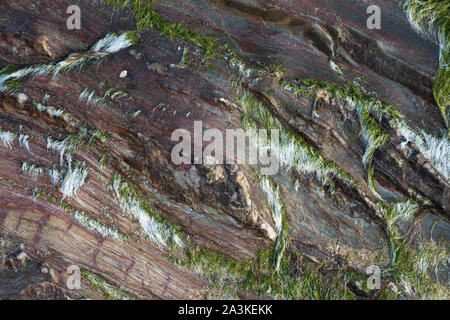 Rock textures on the beach at Kinnagoe Bay at sunrise, Inishowen Peninsula, Co Donegal, Ireland Stock Photo