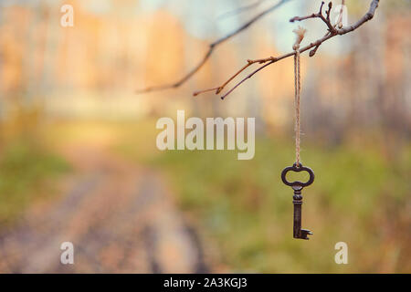 An old key hangs on a tree branch, against the background of a forest road.  Blurred background, space for text. Stock Photo