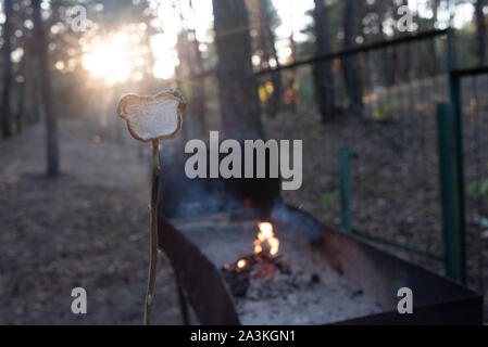 Marsh Mellow at the stake. marsh mellows on wooden skewers toasting over wood flames. Marshmallows in the form of a bear fried at the stake in the for Stock Photo