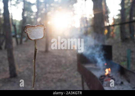 Marsh Mellow at the stake. marsh mellows on wooden skewers toasting over wood flames. Marshmallows in the form of a bear fried at the stake in the for Stock Photo