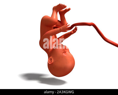 Child with umbilical tube upside down 3d render on white background with shadow Stock Photo