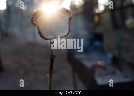 Marsh Mellow at the stake. marsh mellows on wooden skewers toasting over wood flames. Marshmallows in the form of a bear fried at the stake in the for Stock Photo
