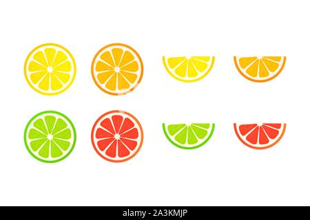 Collection of slices lemon, orange, grapefruit and lime on white background. stock illustration. Stock Vector