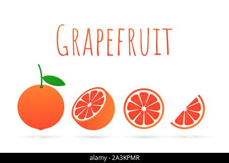 Grapefruit. A whole grapefruit and a cut.  Vector stock illustration. Stock Vector